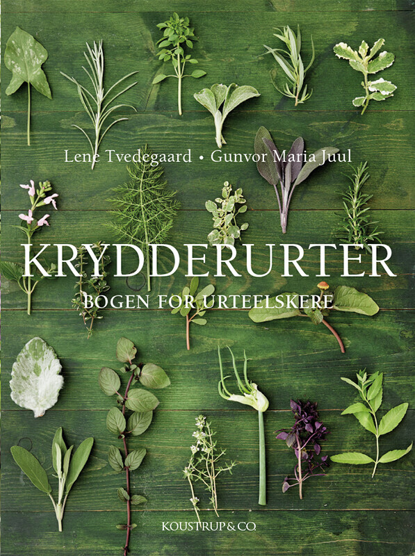 Krydderurter