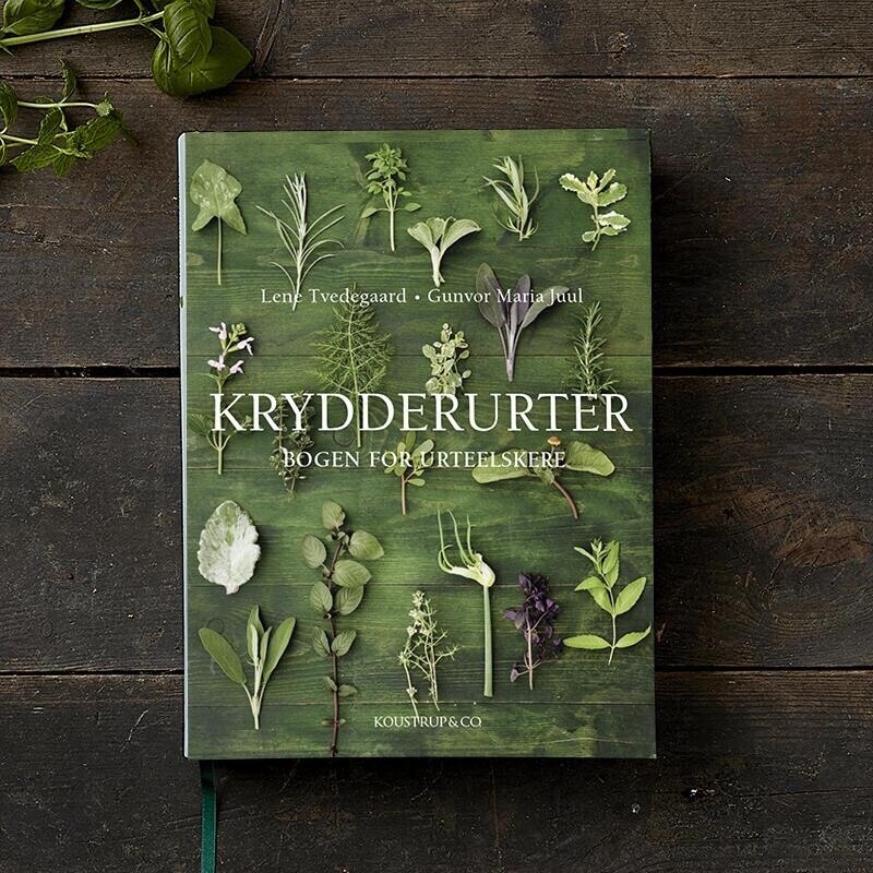 Krydderurter