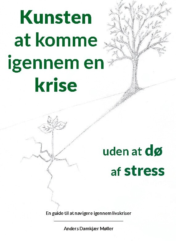 Kunsten At Komme Igennem En Krise Uden At Dø Af Stress