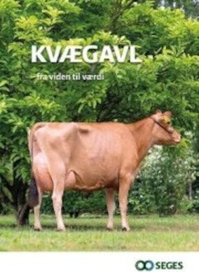 Kvægavl