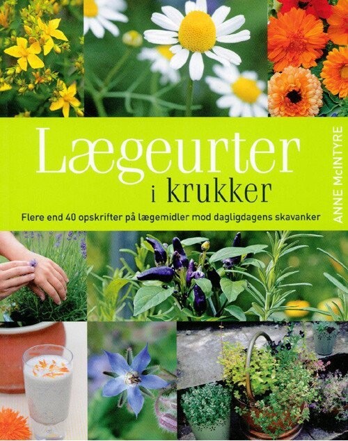 Lægeurter I Krukker