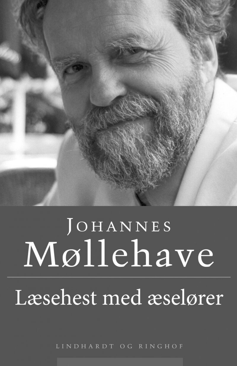 Læsehest Med Æselører