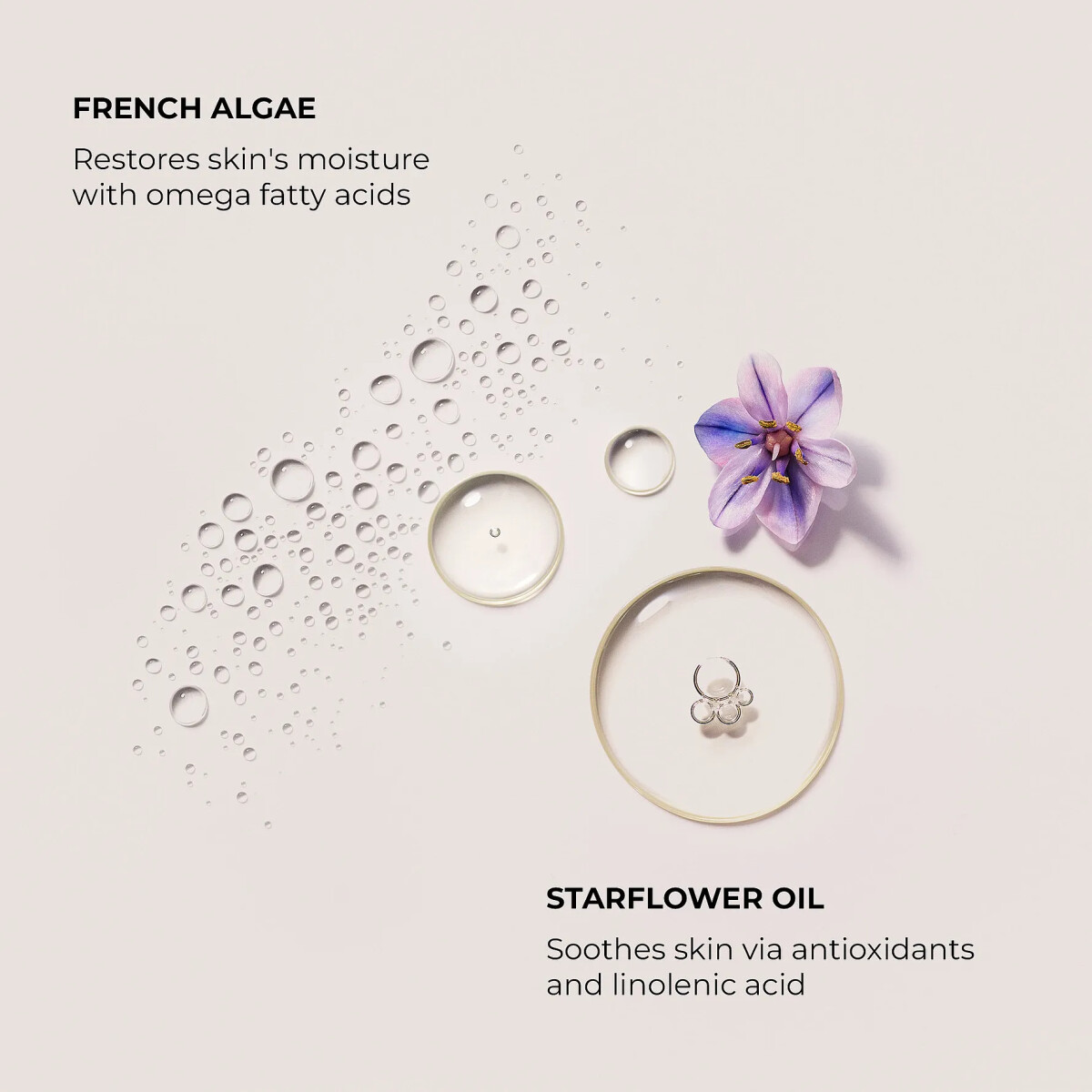 Laura Mercier - Serum Body Cream 200 Ml - Ambre Vanille