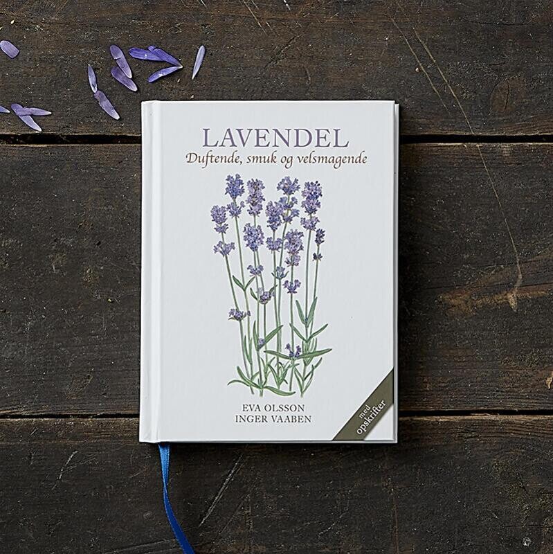 Lavendel