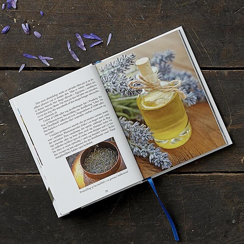 Lavendel