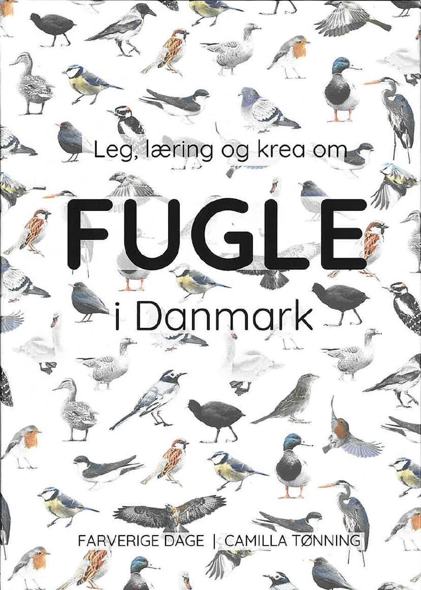 Leg Læring Og Krea Om Fugle I Danmark