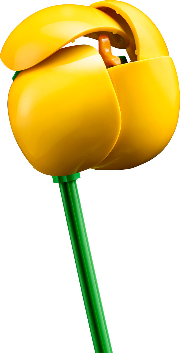 Lego Botanicals - Lille Sommerlig Buket - 10347