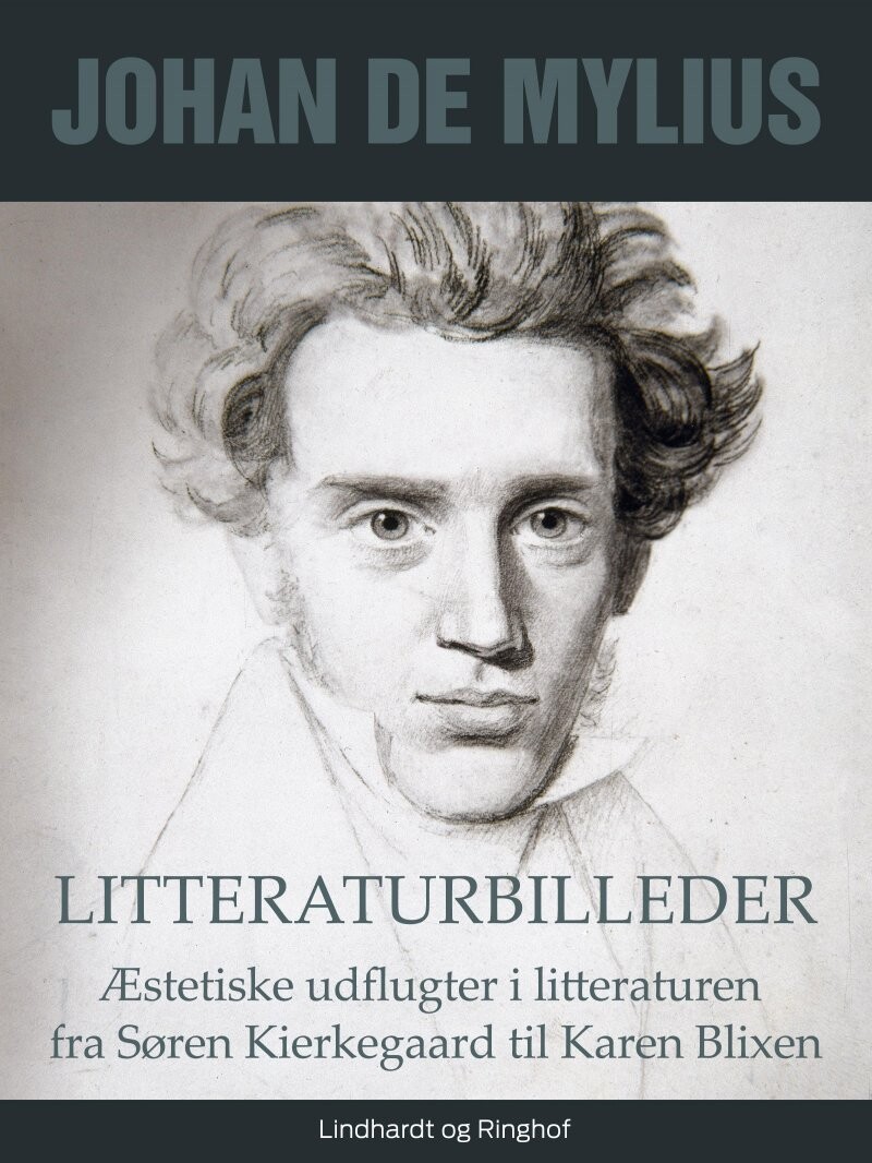 Litteraturbilleder