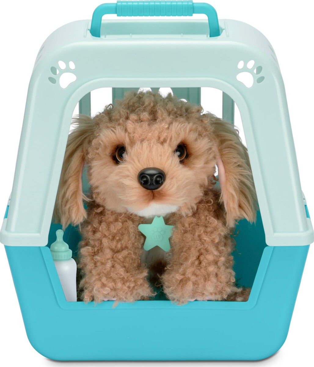 Little Live Pets - My Really Real Puppy - Curley 26612