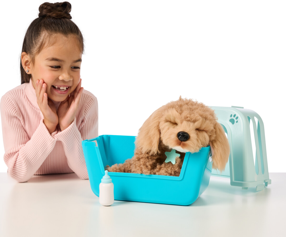 Little Live Pets - My Really Real Puppy - Curley 26612