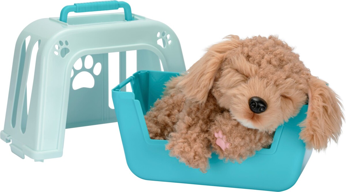 Little Live Pets - My Really Real Puppy - Curley 26612