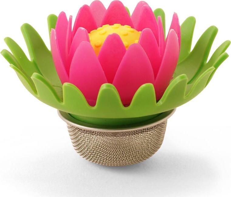 Kikkerland - Lotus Tesi