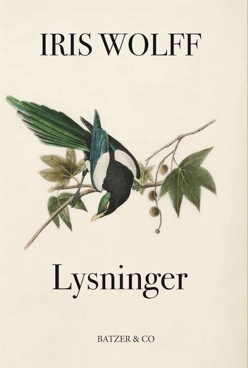 Lysninger