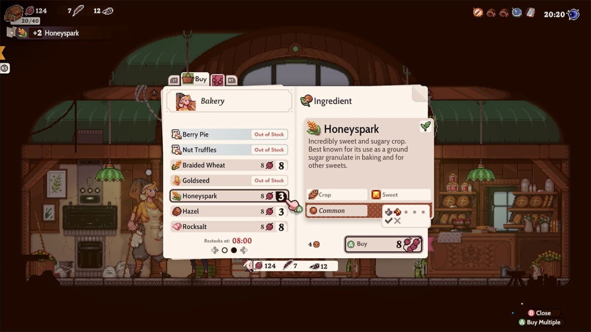 Magical Delicacy Multi In Language Import