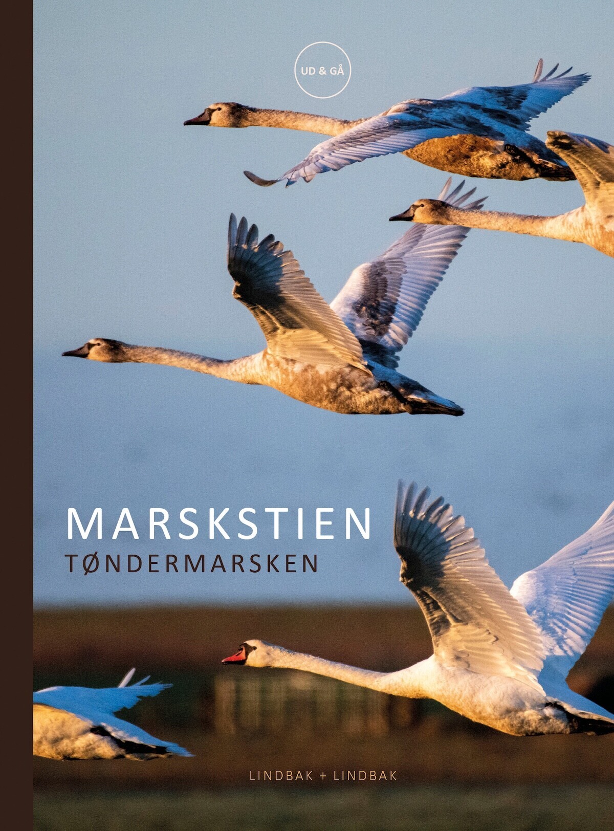 Marskstien - Tøndermarsken