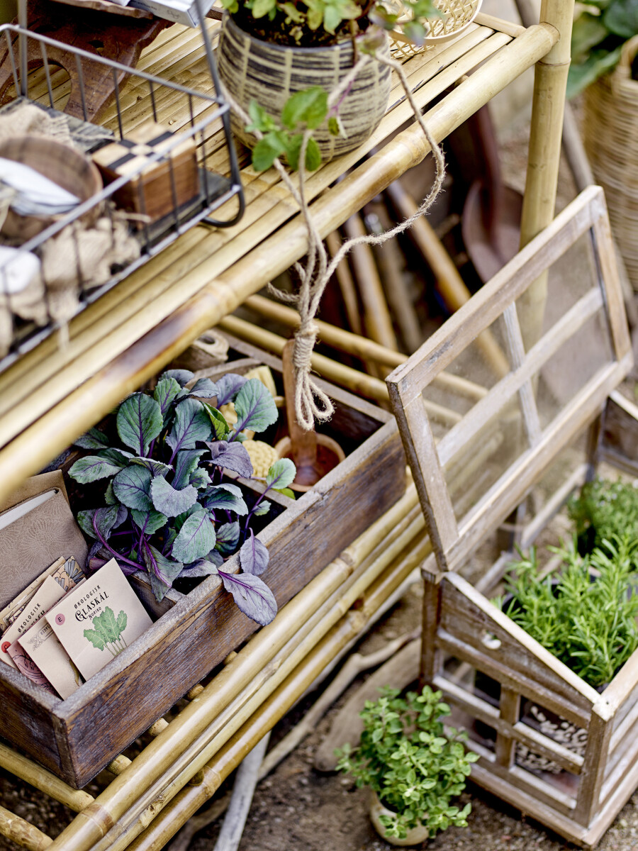 Bloomingville - Marti Display Kasse - Brun - Fyrretræ