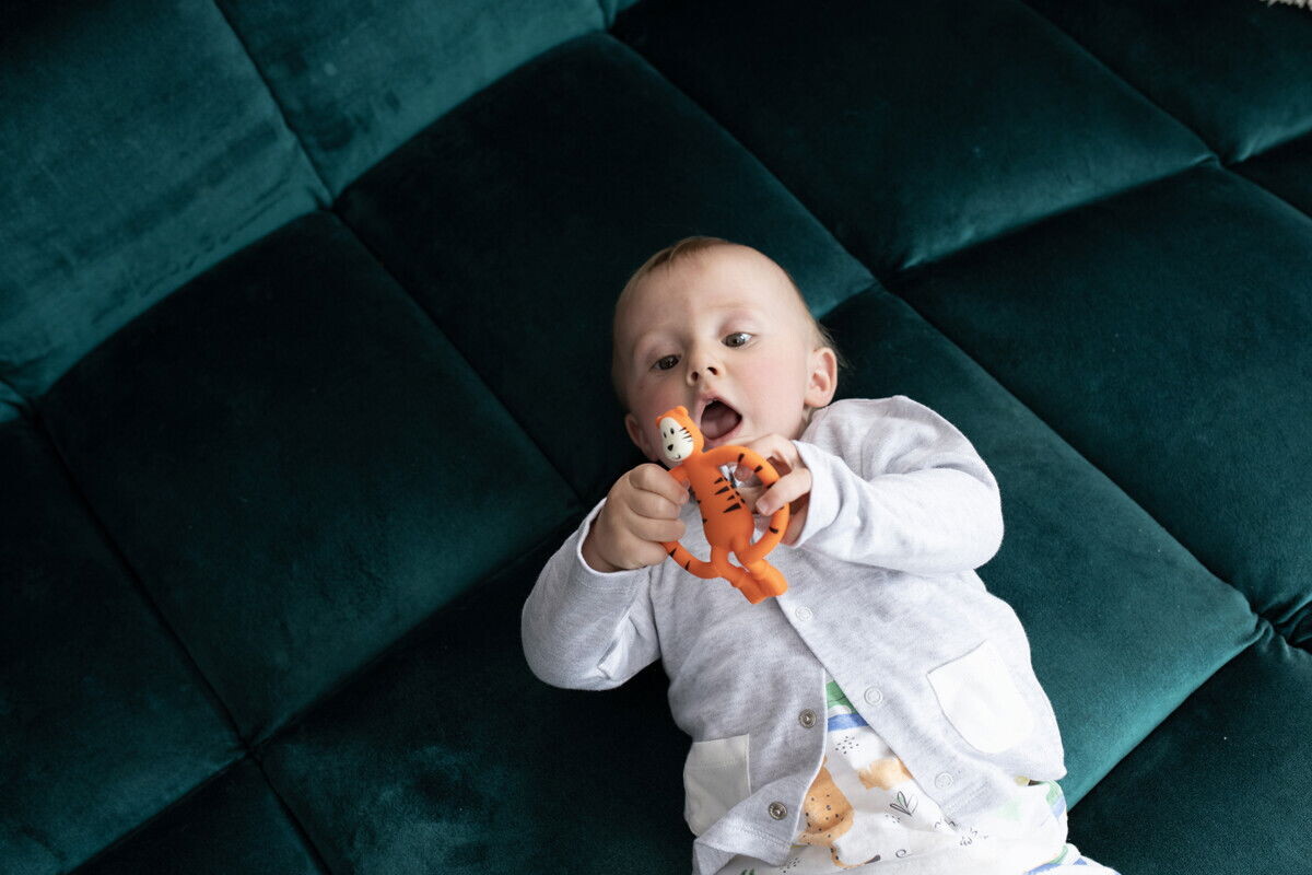 Matchstick Monkey - Teddy Tiger Teether Bidering