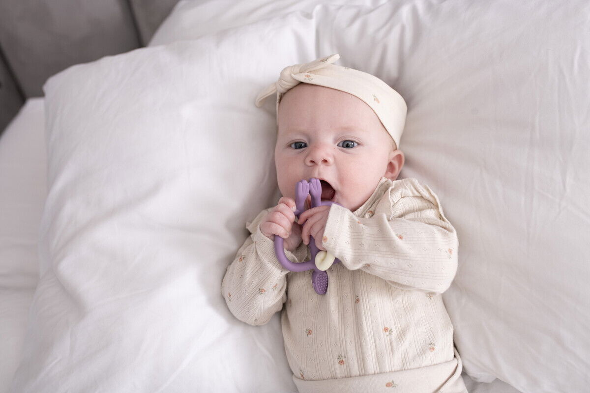 Matchstick Monkey - Teddy Tiger Teether Bidering