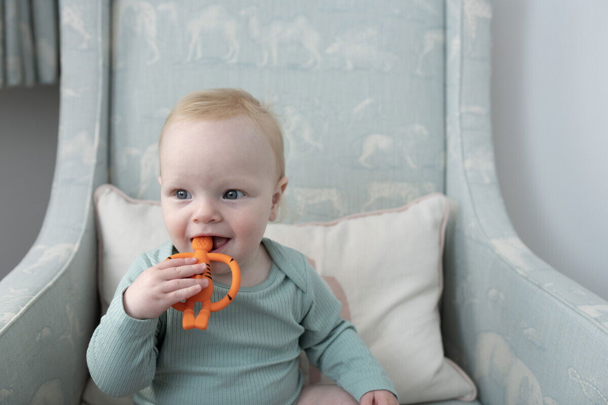 Matchstick Monkey - Teddy Tiger Teether Bidering