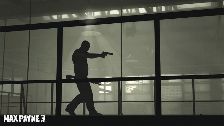 Max Payne 3 Import