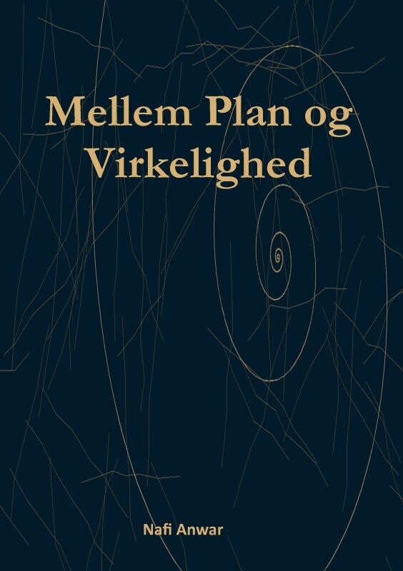 Mellem Plan Og Virkelighed