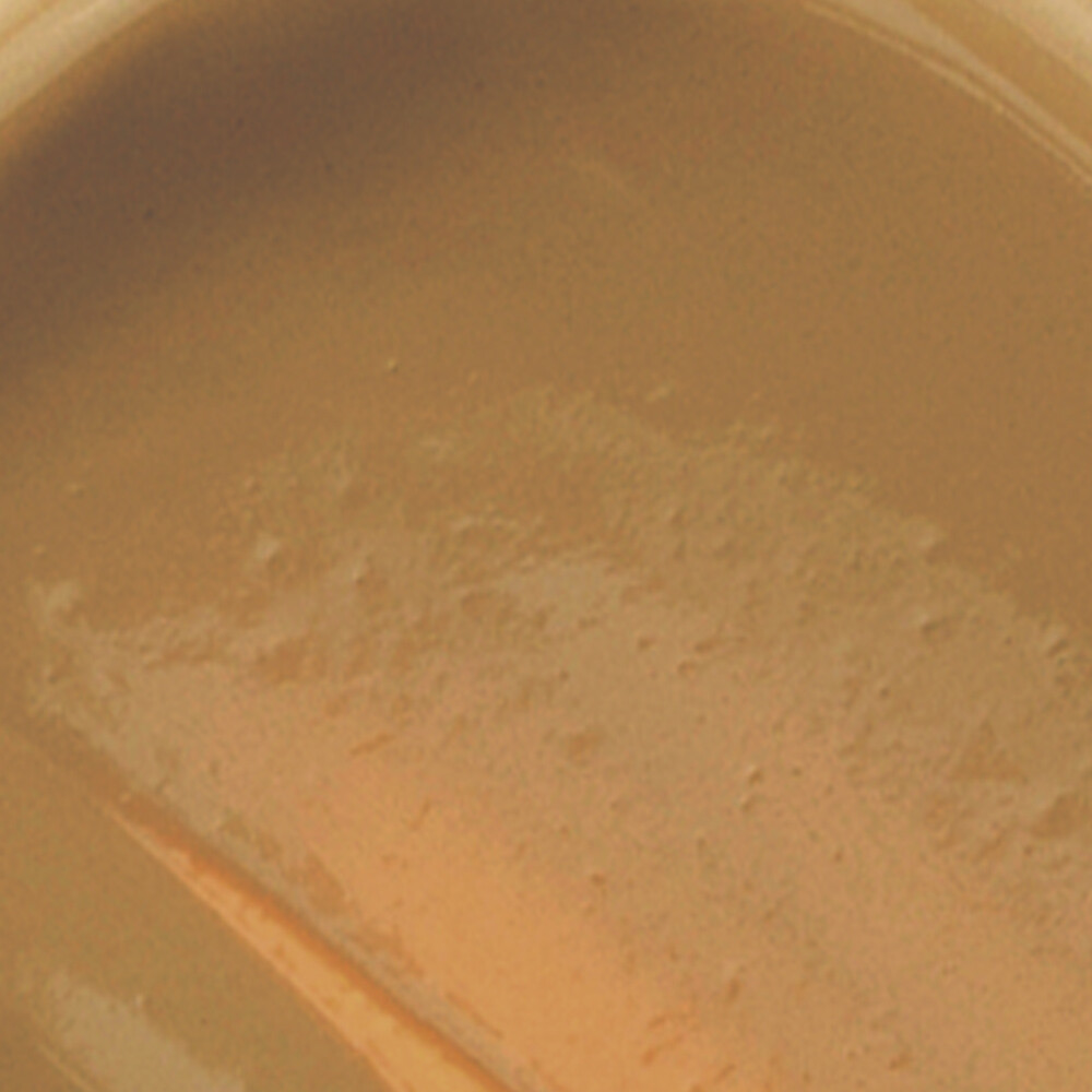 Milani Cosmetics - Conceal Perfect Longwear Concealer - Deep Tan