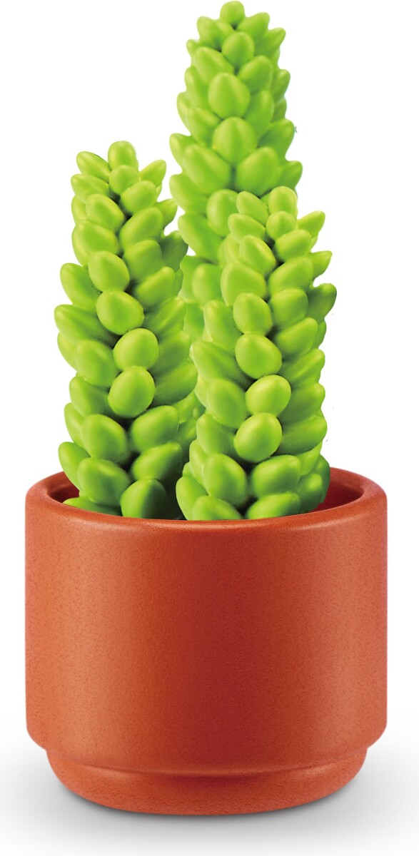 Zuru - Mini Brands Create - Garden - Surprise Legetøj