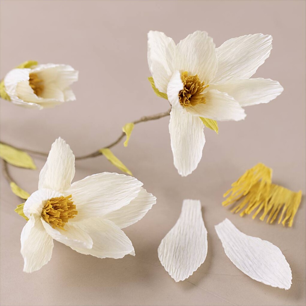 Mini Diy Kit Crepepapir - Magnoliagren - Strækcrepe 180 - 105 G