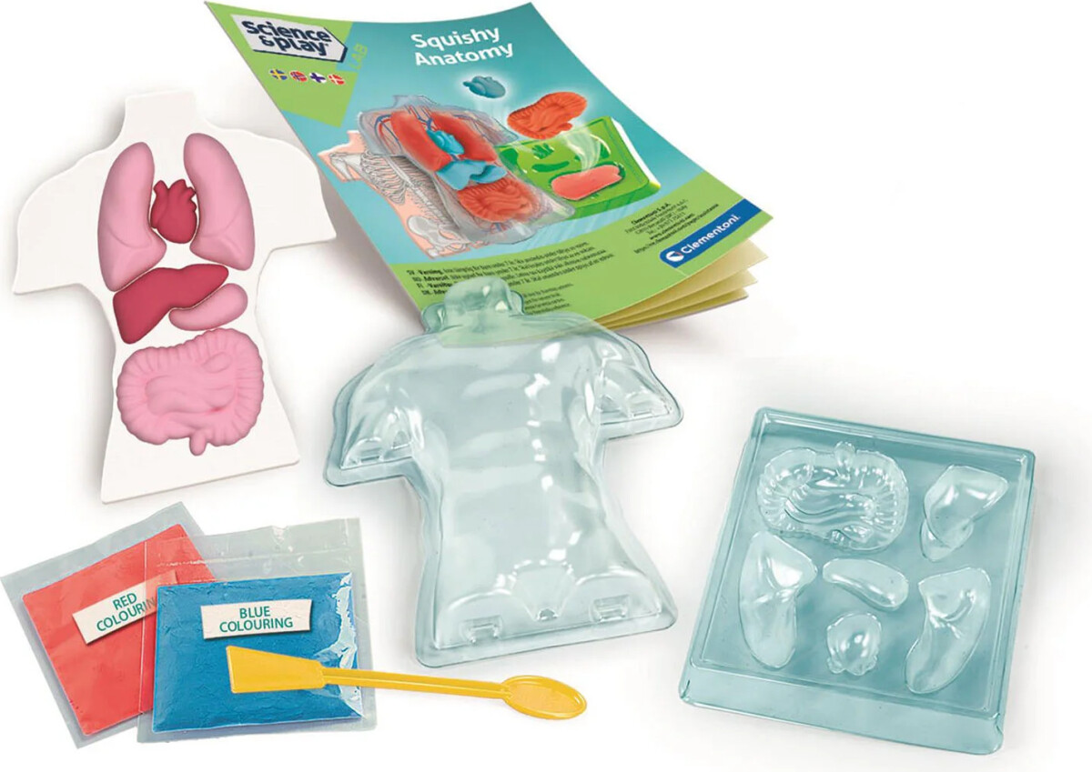 Clementoni Science Play Lab - Squishy Anatomi Legesæt