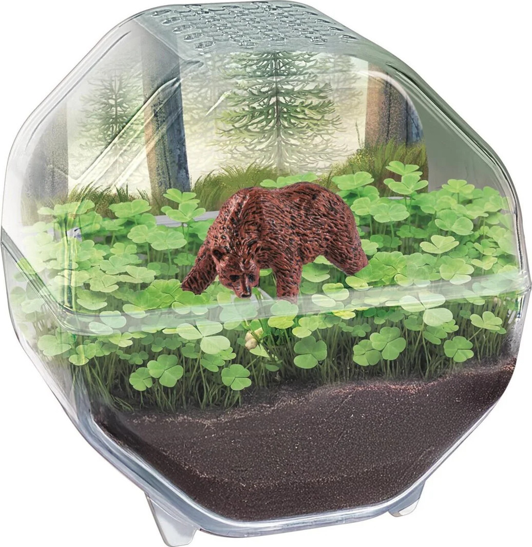 Clementoni - Science Play - My Wild Terrarium - Bear