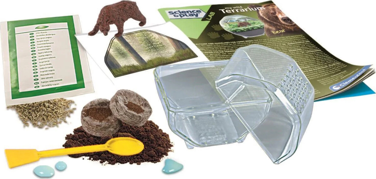 Clementoni - Science Play - My Wild Terrarium - Bear