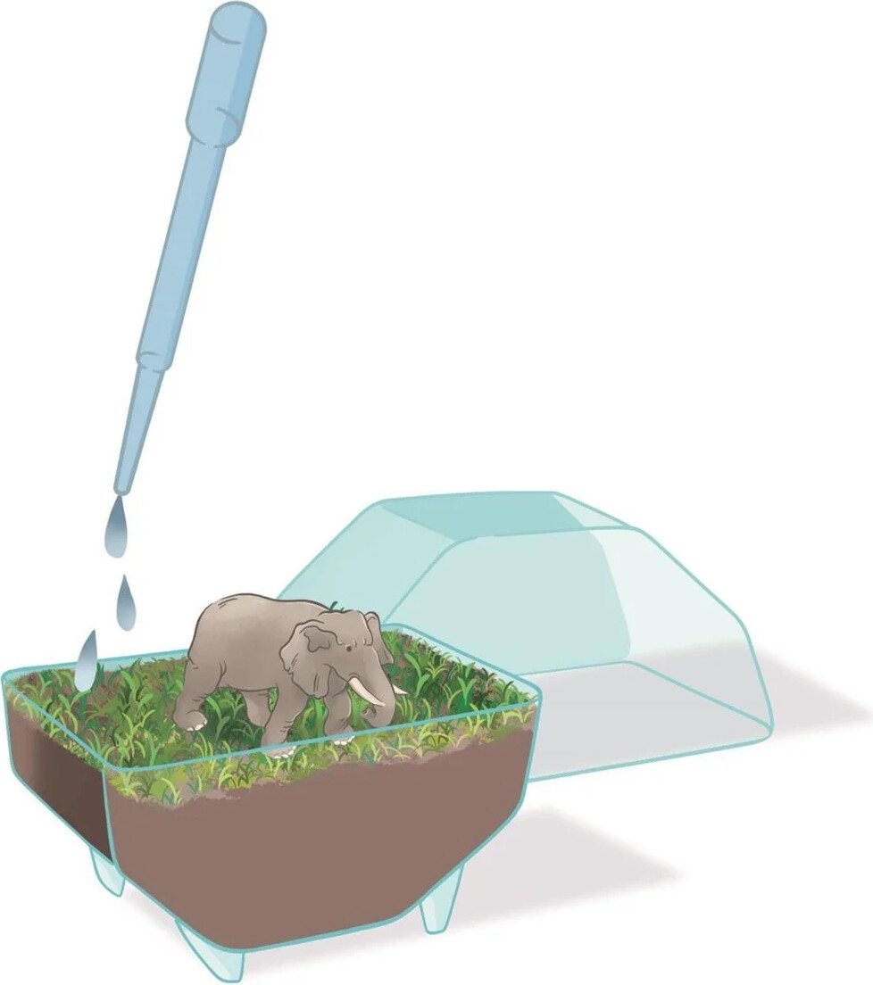 Clementoni - Science Play - My Wild Terrarium - Elephant