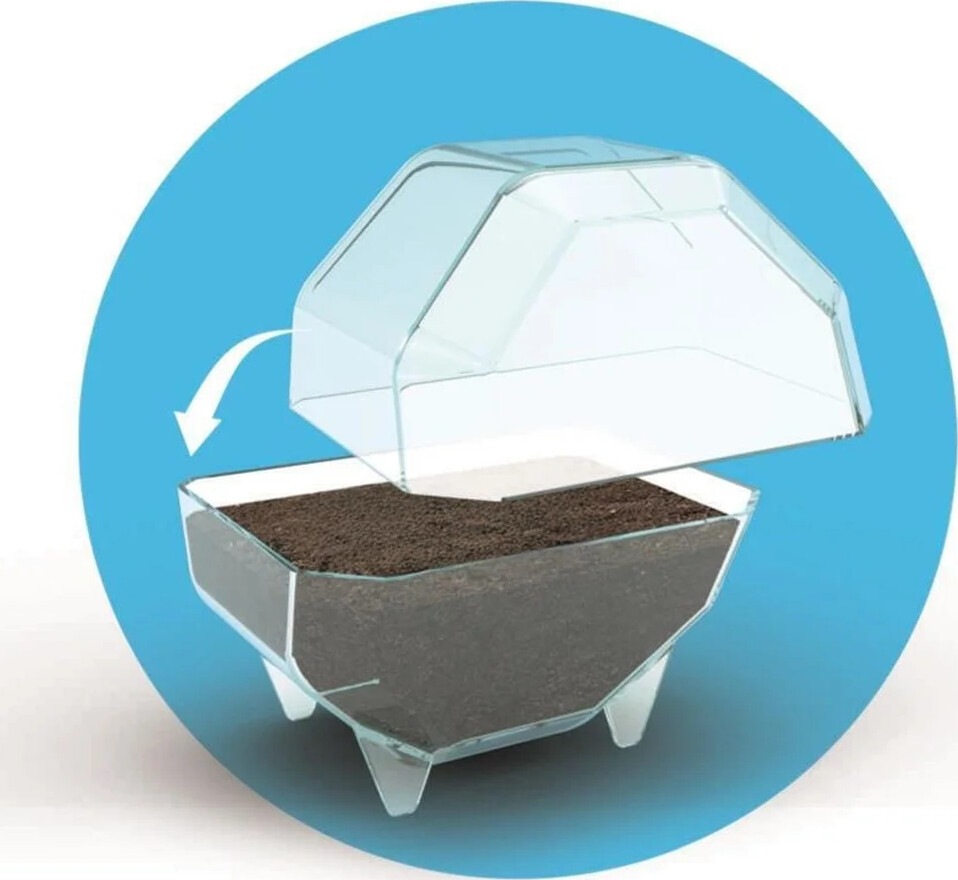 Clementoni - Science Play - My Wild Terrarium - Elephant