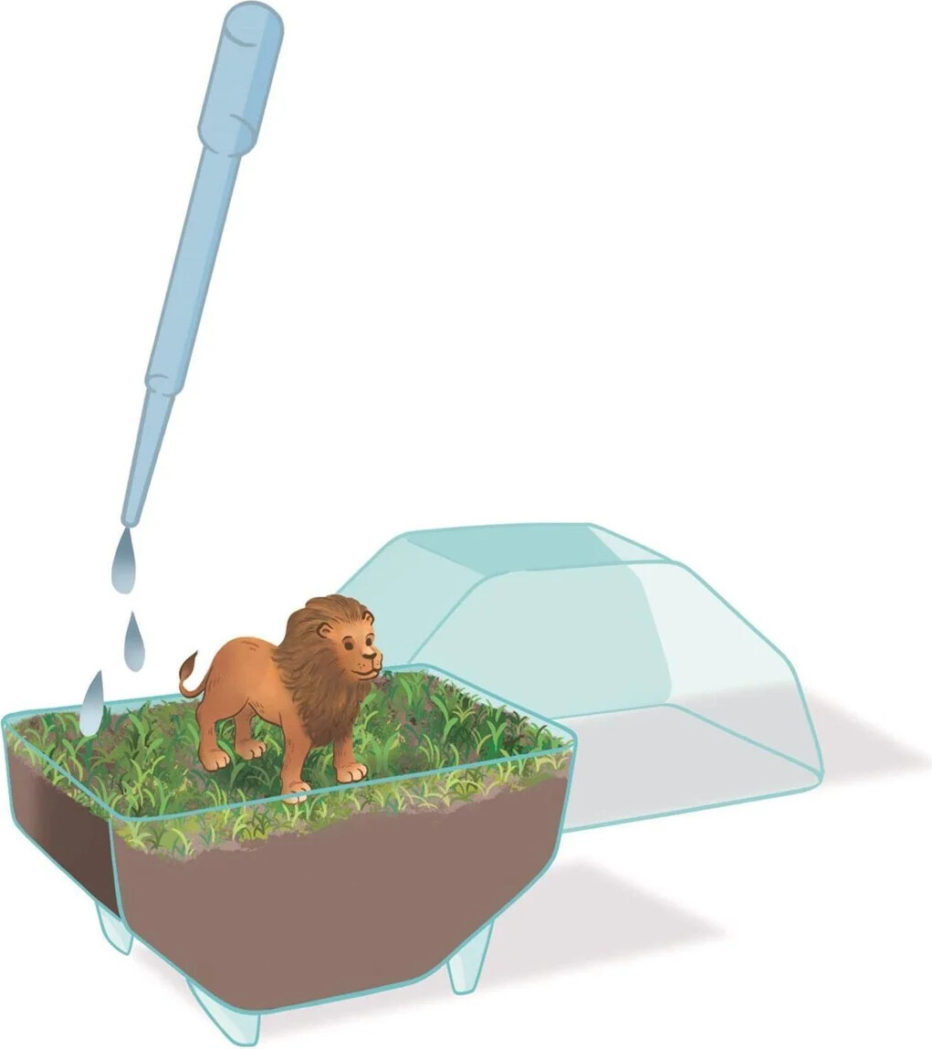 Clementoni - Science Play - My Wild Terrarium - Lion