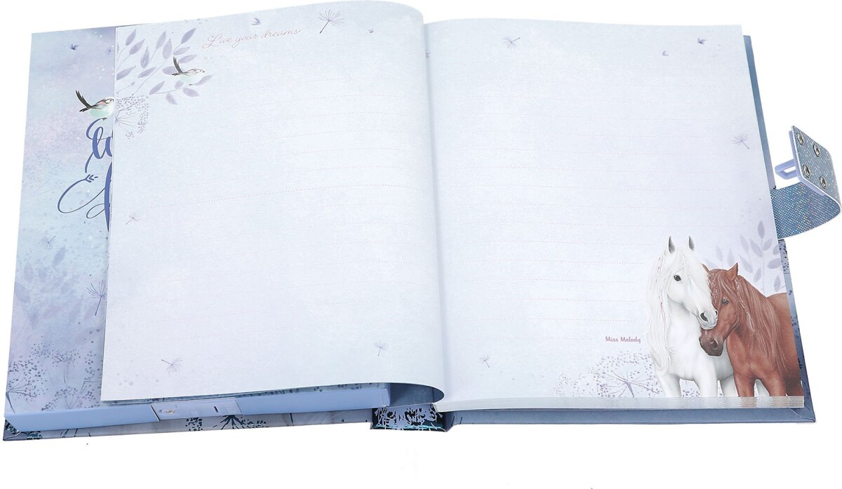 Miss Melody - Dagbog Mkode Og Musik Blå