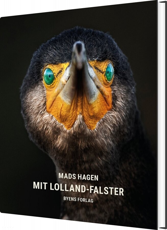 Mit Lolland-Falster