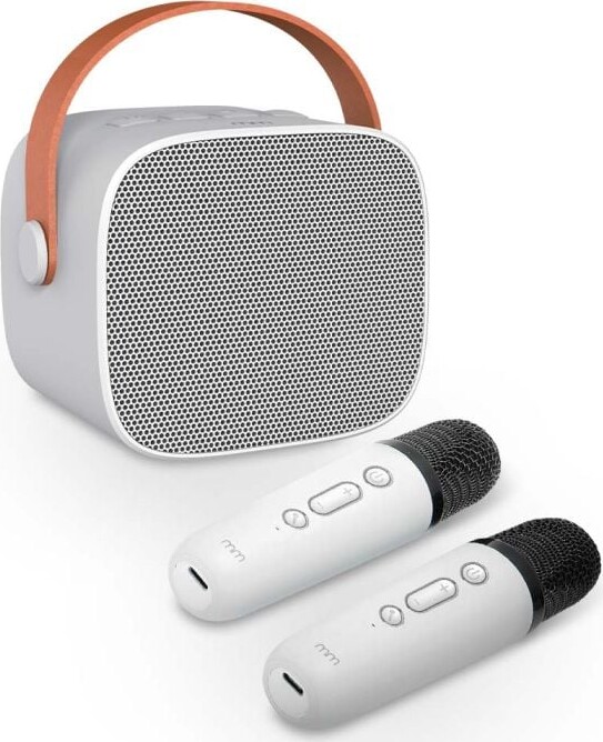 Karaoke Højtaler Med 2 Mikrofoner - Karaoke 2 Go - Mikamax