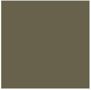 Vallejo - Model Air - Light Olive Mat - 17 Ml - 71247