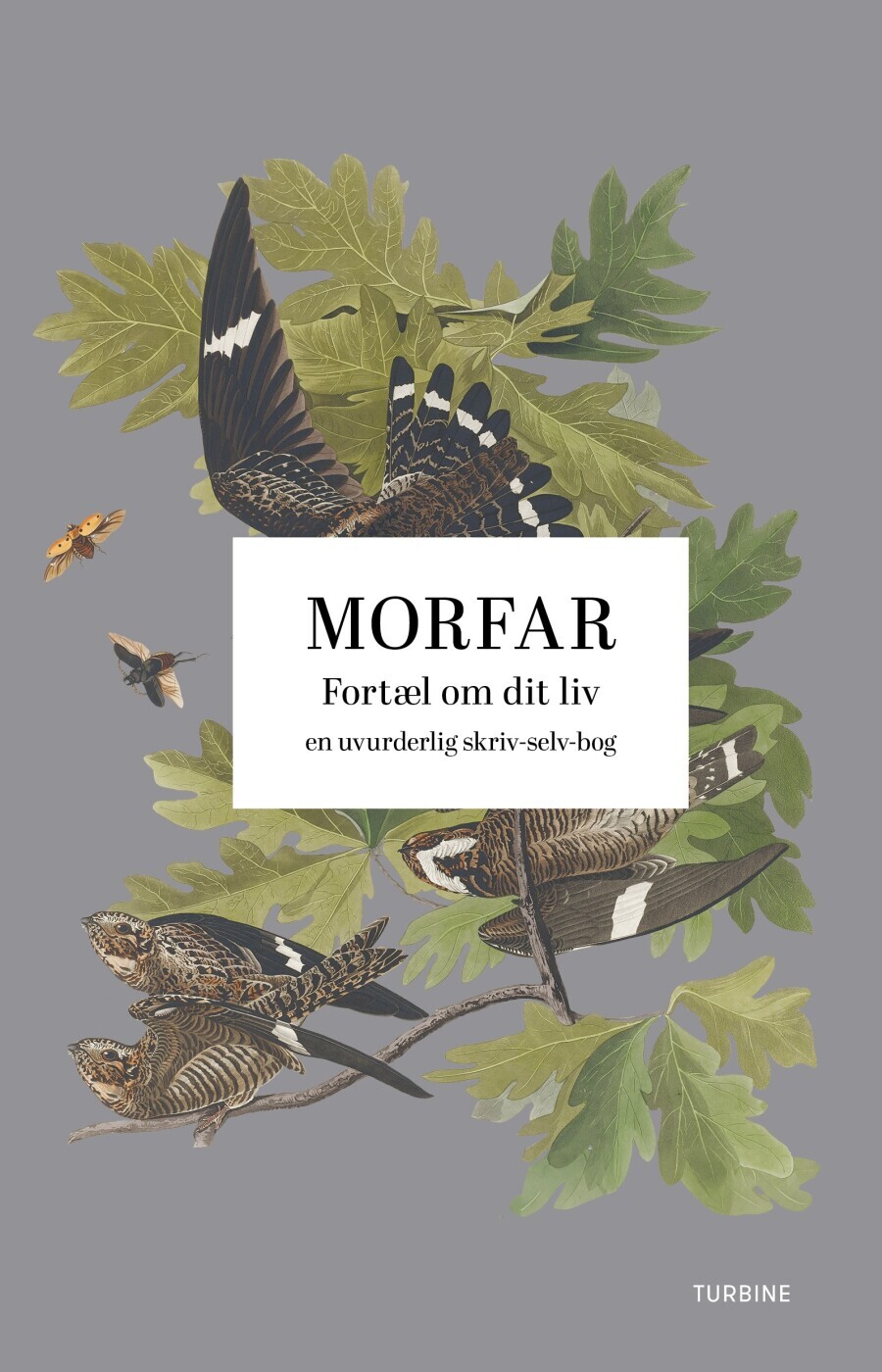 Morfar Fortæl Om Dit Liv