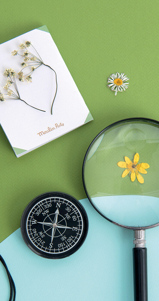 Moulin Roty - Kompas