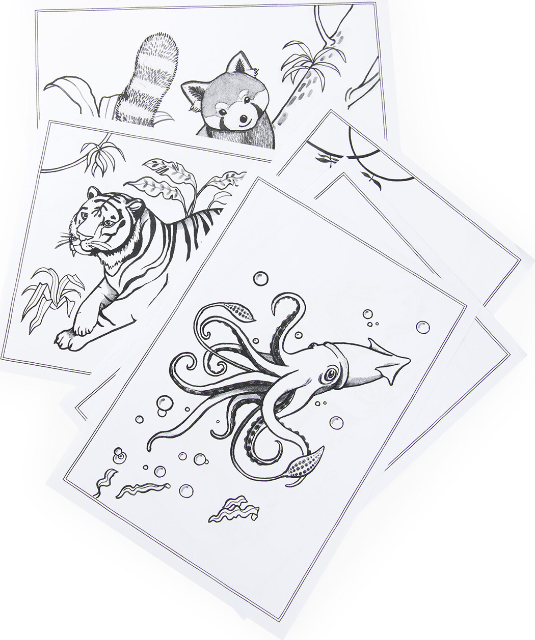 Moulin Roty - Moulinroty - Tegnetavle Med Lys - Tout Autour Du Monde