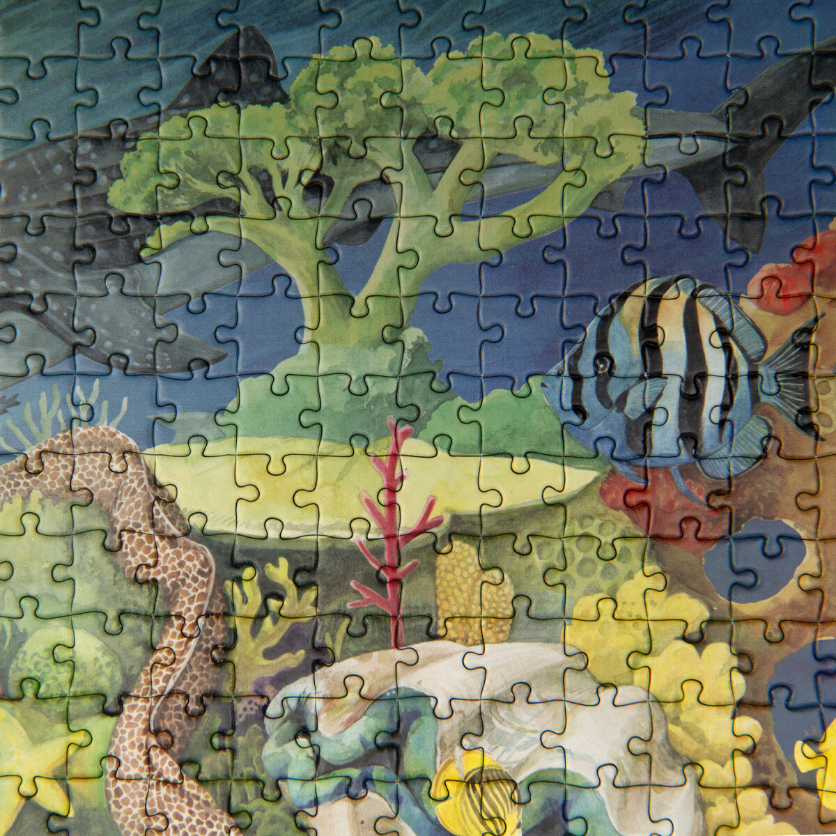 Moulin Roty - Puslespil 1000 Brikker - Coral Reef - Tout Autour Du Monde