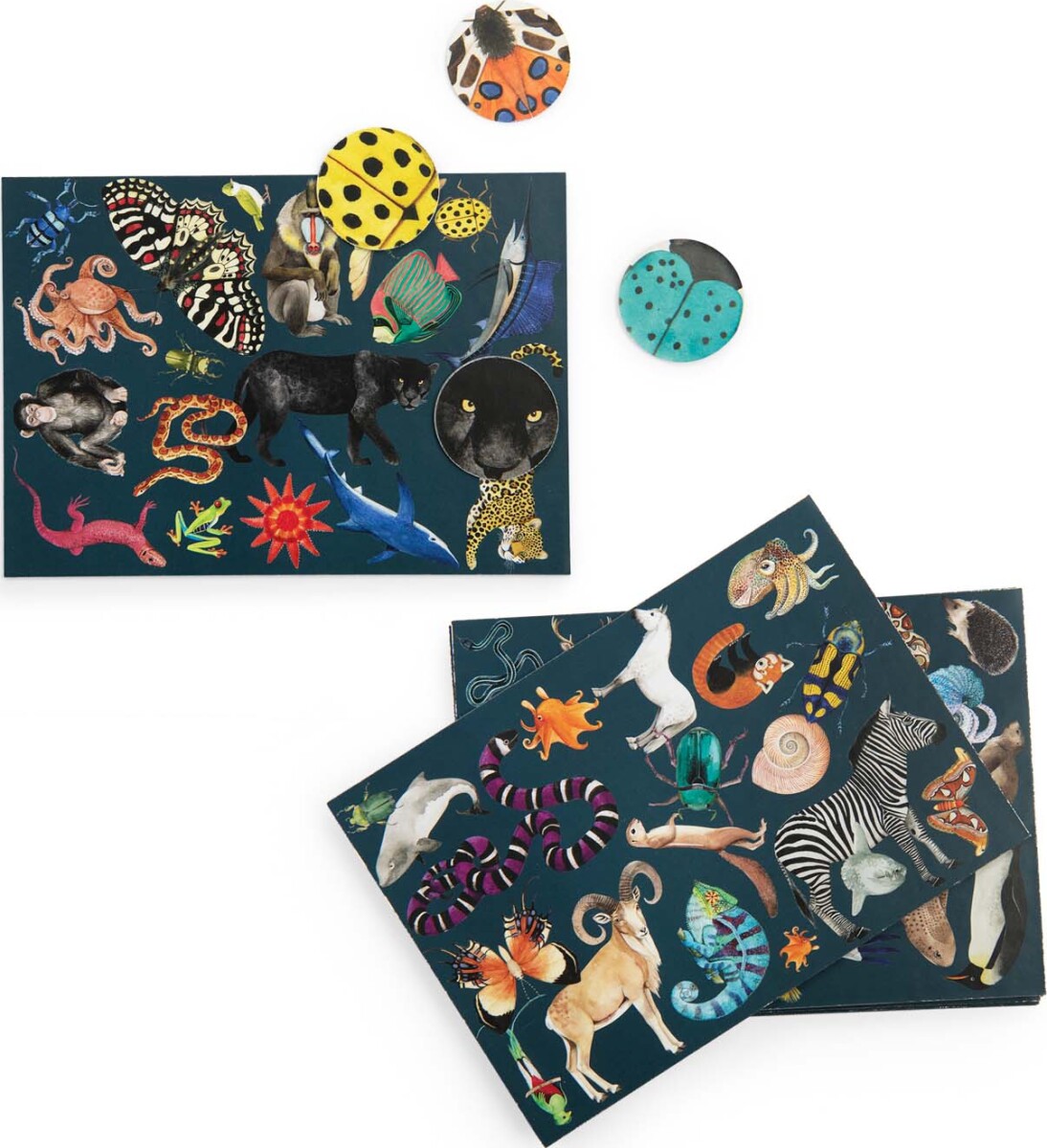 Moulin Roty - Spil - Søg Og Find - Tout Autour Du Monde