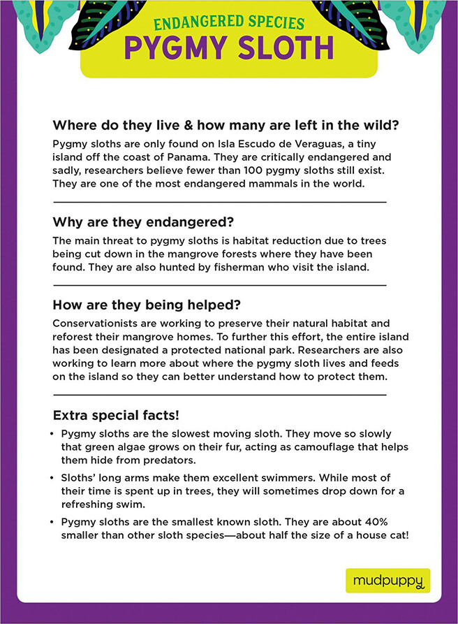 Mudpuppy Puslespil - 300 Brikker - Pygmædovendyr - Truede Arter