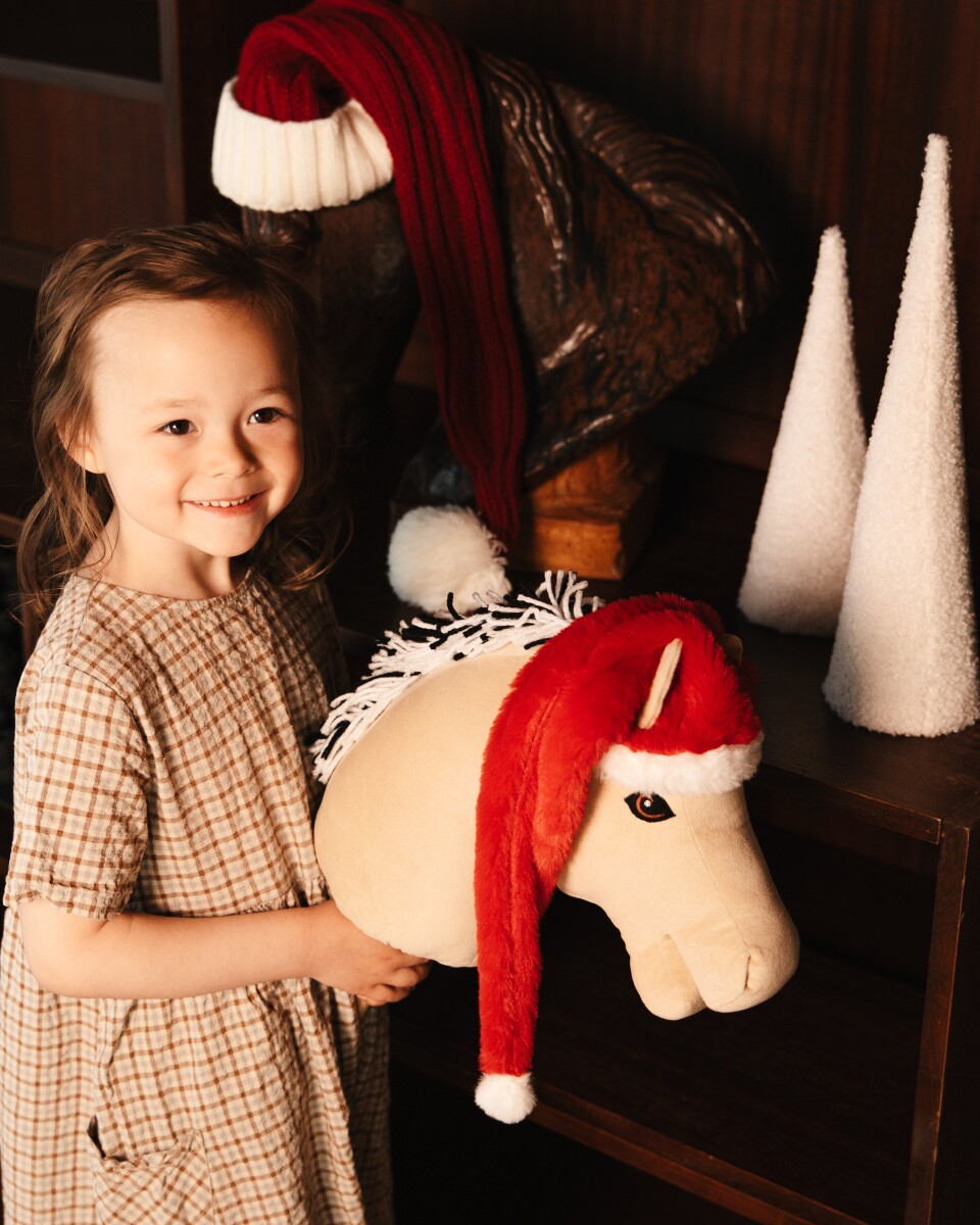 My Hobby Horse - Nissehue Til Kæphest