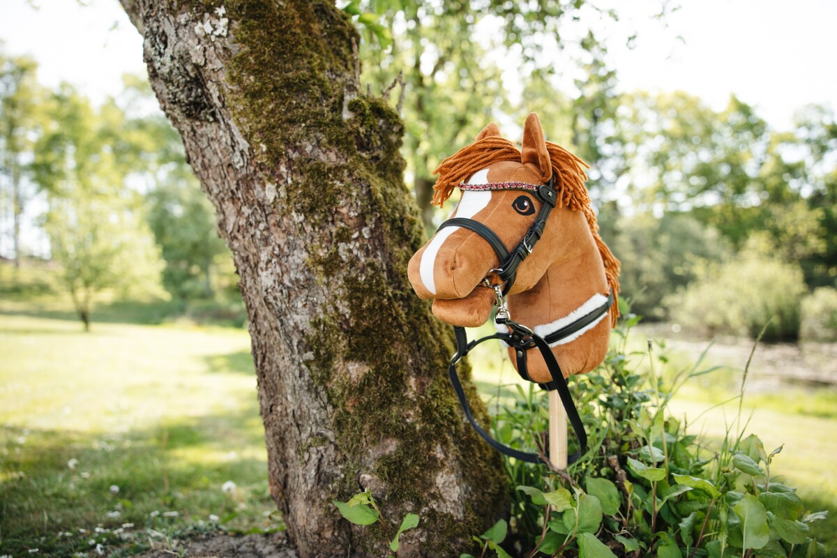 My Hobby Horse - Pandebånde Røde Sten