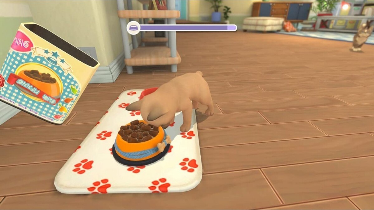 My Universe Pets Edition Bundle