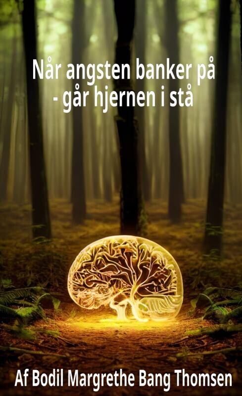 Når Angsten Banker På