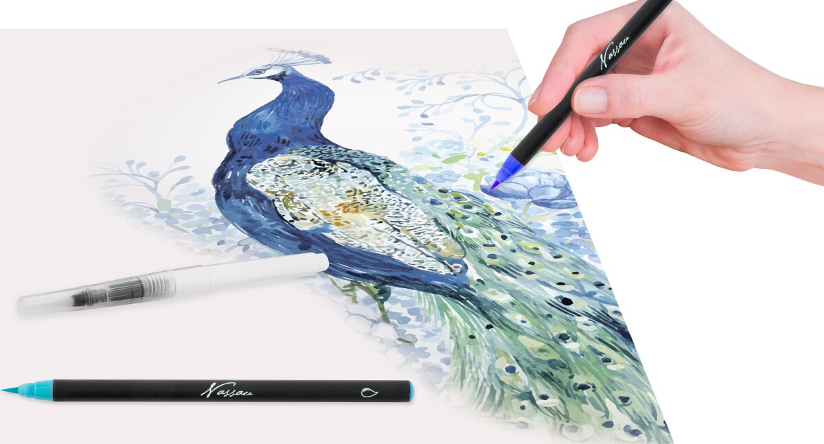 Nassau Fine Art - Akvarel Tusser Og Farveblyanter Sæt - 25 Dele