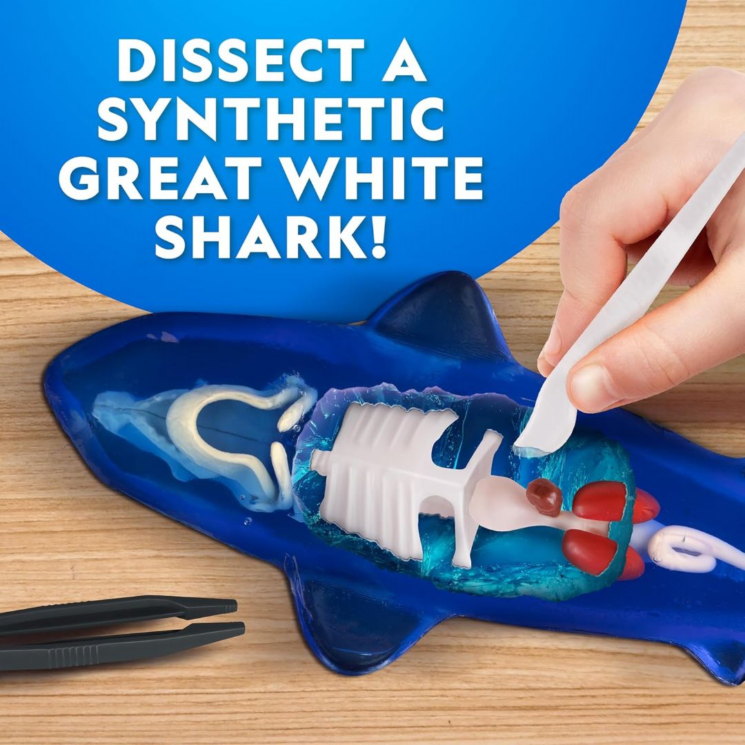 National Geographic - Glow-In-The-Dark Dissection Lab - Shark